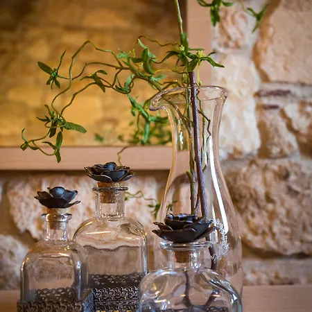 Nefeli And Βίλα Νέα Σκιώνη